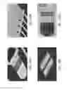 Fig. 76 - Microbial microfluidic biosensor