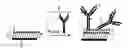 Fig. 01 - Surface immobilization of an analyte-recognizing molecule