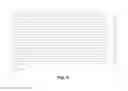 Fig. 04 - Methods, devices, kits and compositions for detecting roundworm, whipworm and hookworm