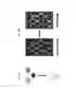 Fig. 13 - Compositions and methods for diagnosing breast cancer