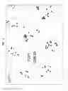 Fig. 04 - Isolation, detection, diagnosis and/or characterization of circulating Trop-2-positive cancer cells
