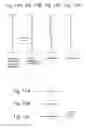 Fig. 09 - Zoom lens system having third lens group with air lens formed of adjacent negative and positive single lens elements
