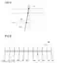 Fig. 06 - Image reading device and image forming apparatus therewith