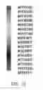 Fig. 13 - Method of controlling mobile electronic device through a cover, mobile electronic device using the same and non-transitory storage medium thereof