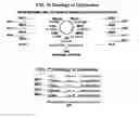 Fig. 11 - Semantic model of everything recorded with UR-URL combination identity-identifier-addressing-indexing method, means and apparatus