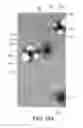 Fig. 07 - Method of detecting gas-producing microbial colonies