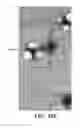 Fig. 09 - Method of detecting gas-producing microbial colonies