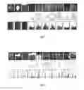 Fig. 08 - Automatically computing emotions aroused from images through shape modeling