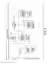 Fig. 06 - Voice phone-based method and system to authenticate users