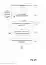 Fig. 10 - SYSTEM AND METHOD FOR UTILIZING BIOMETRIC DATA IN A PAYMENT TRANSACTION