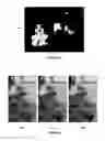 Fig. 08 - Image noise reduction