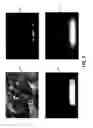Fig. 06 - Method and apparatus for determining a depth map for an image