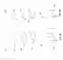 Fig. 06 - Dynamic Micro Chart