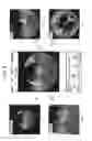 Fig. 05 - Information processing apparatus for creating an animation from a spherical image