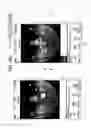 Fig. 20 - Information processing apparatus for creating an animation from a spherical image