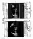 Fig. 27 - Information processing apparatus for creating an animation from a spherical image