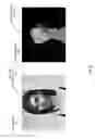 Fig. 04 - Modifying a simulated character by direct manipulation