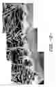 Fig. 07 - Nonwoven composite