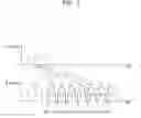 Fig. 05 - Operation method of a nonvolatile memory device for controlling a resume operation