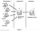 Fig. 03 - METHOD AND SYSTEM FOR SAFELY GUIDING INTERVENTIONS IN PROCEDURES THE SUBSTRATE OF WHICH IS THE NEURONAL PLASTICITY