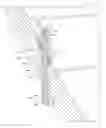 Fig. 01 - Pressure boundary bolted anti-ejection device