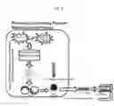 Fig. 02 - NEW GENERATION CONDUCTIVE POLYMERS, MANUFACTURING METHOD THEREOF, AND THEIR APPLICATIONS INCLUDING ELECTRIC WIRES, TAPES, AND CABLES, HOT SURFACE IGNITERS, ELECTRONICS DEVICES, 3D PRINTING FILAMENTS, AND LIGHTWEIGHT MATERIALS FOR AUTOMOBILE AND AEROSPACE SHIP
