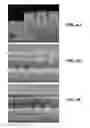 Fig. 06 - Si precursors for deposition of SiN at low temperatures