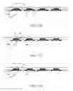 Fig. 06 - METHOD OF PACKAGING CHIP AND CHIP PACKAGE STRUCTURE