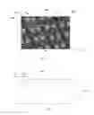Fig. 08 - ELECTRONIC DEVICE, MANUFACTURING METHOD AND LEAD FRAME FOR SAME