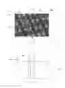 Fig. 09 - ELECTRONIC DEVICE, MANUFACTURING METHOD AND LEAD FRAME FOR SAME