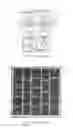 Fig. 02 - Light-emitting device