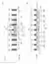 Fig. 04 - Integrated circuit, system for and method of forming an integrated circuit