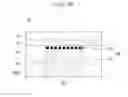 Fig. 08 - Display device having a reflecting area