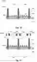 Fig. 08 - QE approach by double-side, multi absorption structure
