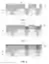 Fig. 03 - Semiconductor random access memory and manufacturing method thereof