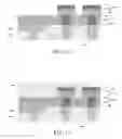 Fig. 06 - Semiconductor random access memory and manufacturing method thereof