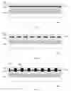 Fig. 05 - Integration of micro-devices into system substrate