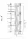 Fig. 07 - Organic light emitting display device and method for manufacturing the same