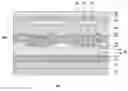 Fig. 01 - DISPLAY DEVICE AND ELECTRONIC DEVICE