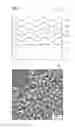Fig. 06 - Optoelectronic component and method for producing an optoelectronic component