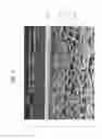 Fig. 03 - Light-emitting device with transparent substrate