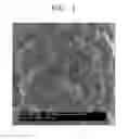 Fig. 02 - Composite cathode active material, and cathode and lithium battery comprising composite cathode active material