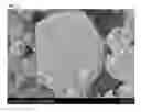 Fig. 02 - Negative electrode active material for lithium secondary battery and method of preparing the same