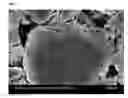 Fig. 04 - Negative electrode active material for lithium secondary battery and method of preparing the same