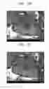 Fig. 06 - Anode active material and a lithium secondary battery including the same