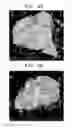 Fig. 09 - Anode active material and a lithium secondary battery including the same