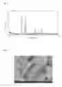 Fig. 02 - ANODE MATERIAL FOR LITHIUM-ION BATTERY AND ANODE FOR LITHIUM-ION BATTERY