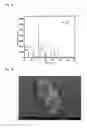 Fig. 07 - ANODE MATERIAL FOR LITHIUM-ION BATTERY AND ANODE FOR LITHIUM-ION BATTERY