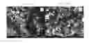 Fig. 04 - DISCRETE CARBON NANOTUBES AND MICROFIBER COMPOSITES