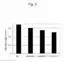 Fig. 06 - FUEL-CELL ELECTRODE CATALYST, AND PRODUCTION METHOD THEREFOR
